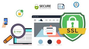 Chứng chỉ Organization validated SSL certificates phù hợp với các doanh nghiệp thương mại điện tử