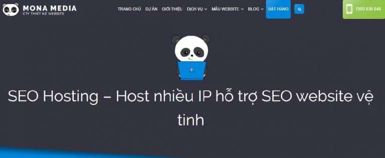 dịch vụ seo web hosting chuyên nghiệp trong nước