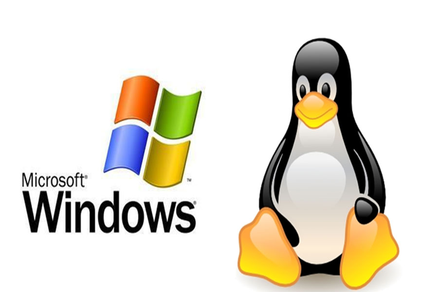 Linux hosting or window hositng