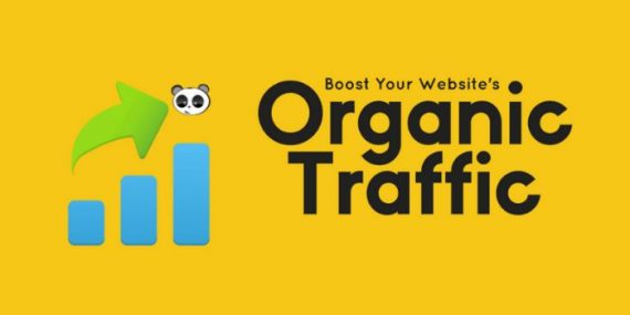 Organic Traffic là gì? 5 Cách tăng traffic tự nhiên hiệu quả 2023